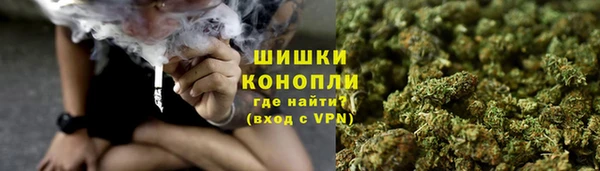 PSILOCYBIN Янаул