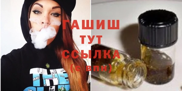 винт Абаза