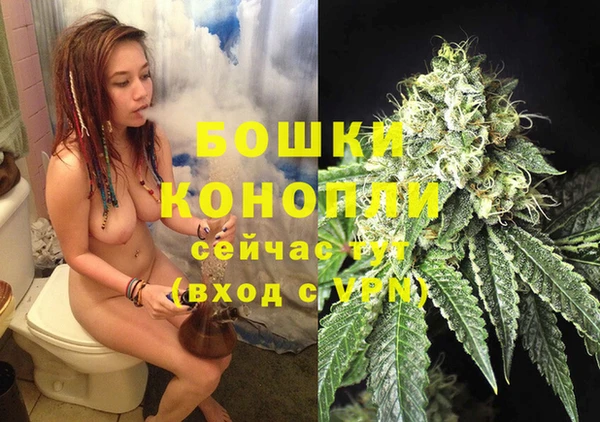 винт Абаза