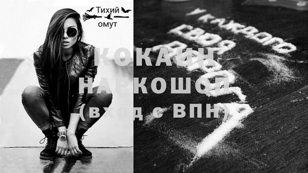 винт Абаза