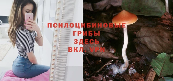 винт Абаза