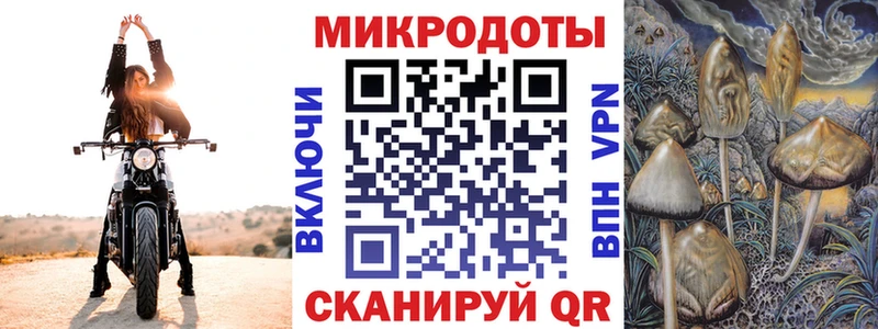 Галлюциногенные грибы Cubensis  где можно купить   Абинск 